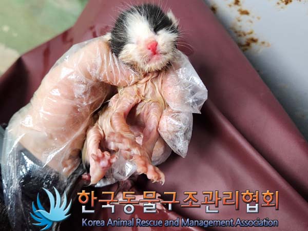 종료(자연사) 한국…